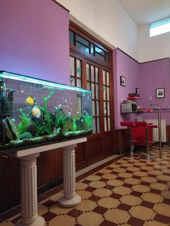 مونتيفيديو Cane B&B المظهر الخارجي الصورة